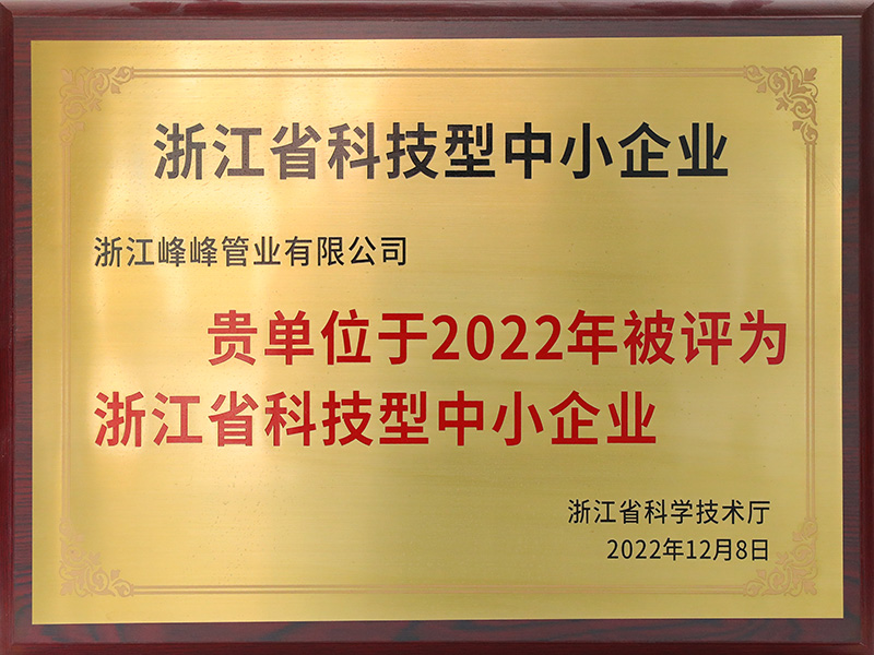 Petites et moyennes entreprises scientifiques et technologiques de la province du Zhejiang